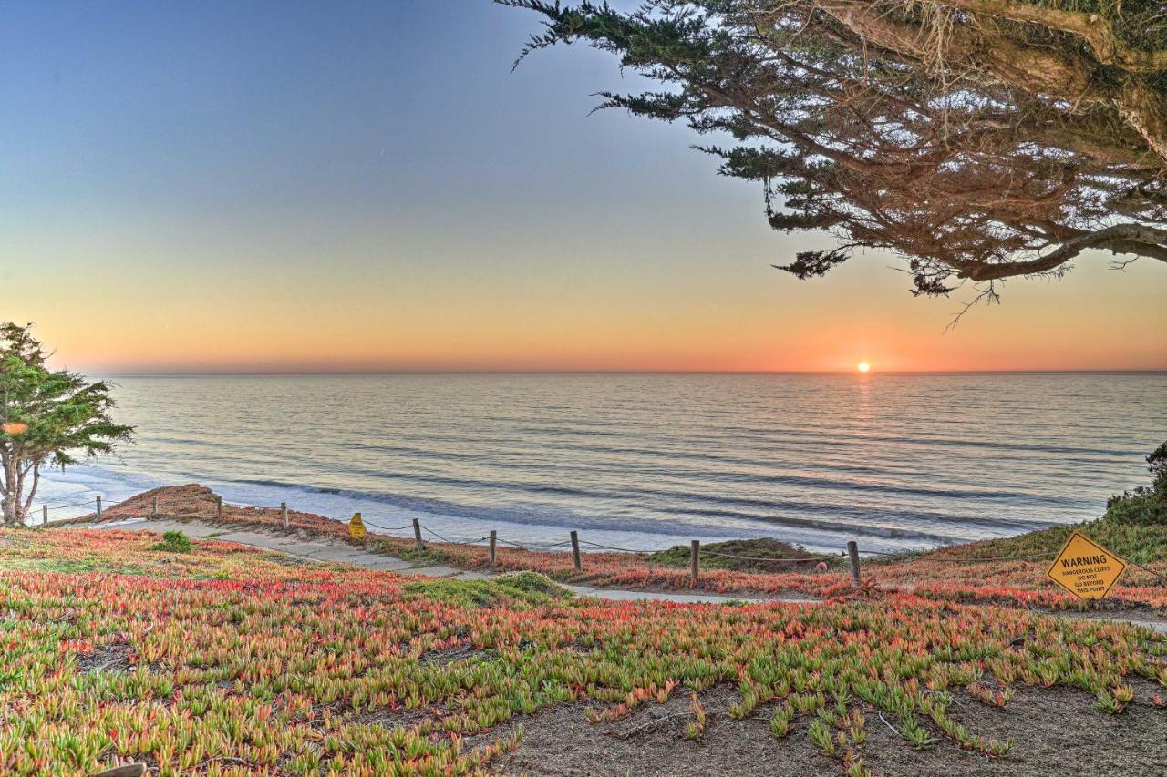 Cliffside Pacifica Hideaway Unbeatable View! Daire Dış mekan fotoğraf